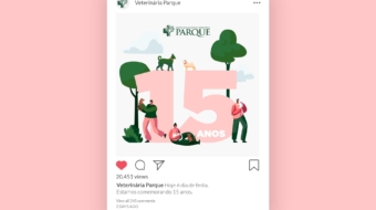 Post para redes sociais